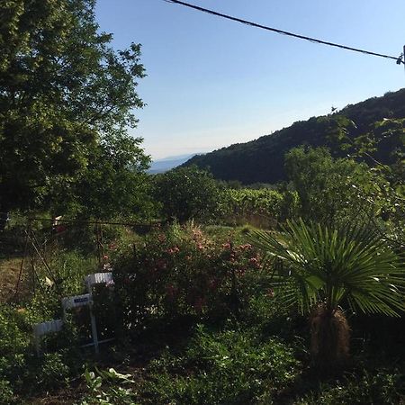 Salara Farmhouse Koper Eksteriør bilde