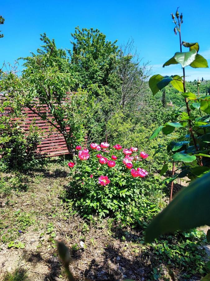 Salara Farmhouse Koper Eksteriør bilde