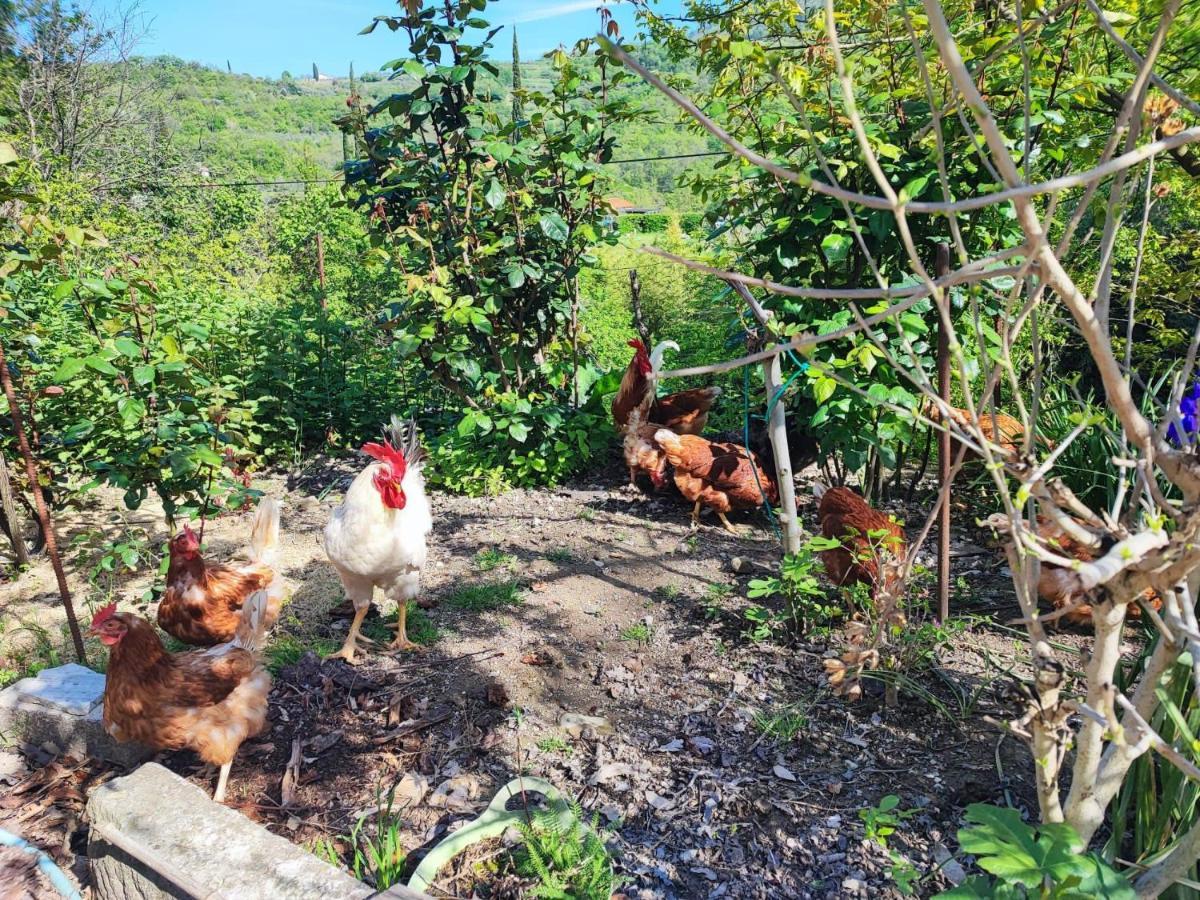 Salara Farmhouse Koper Eksteriør bilde