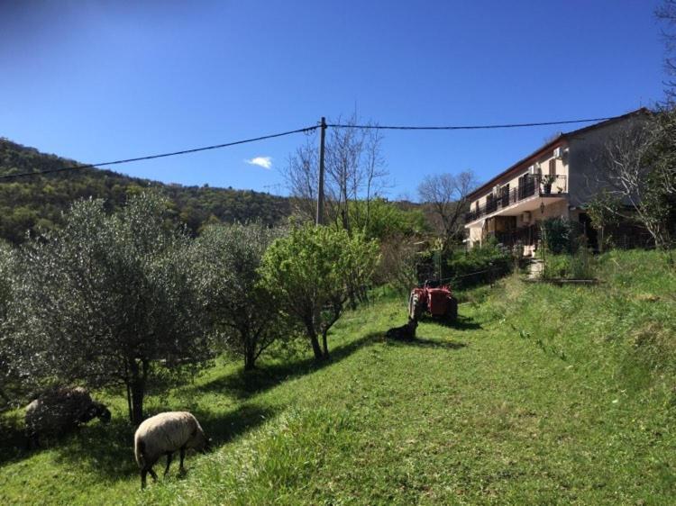 Salara Farmhouse Koper Eksteriør bilde
